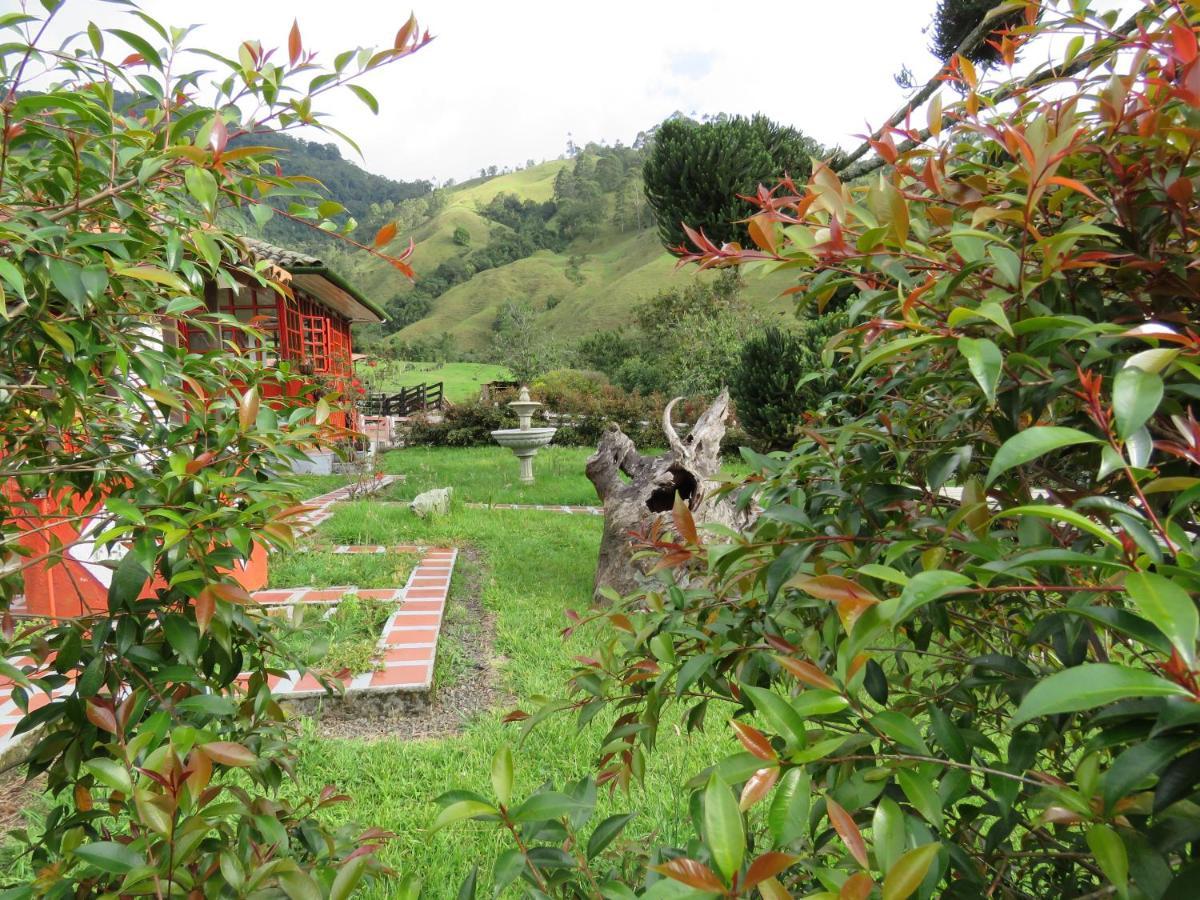 Ecohotel Pinohermoso Reserva Natural Salento Exterior foto